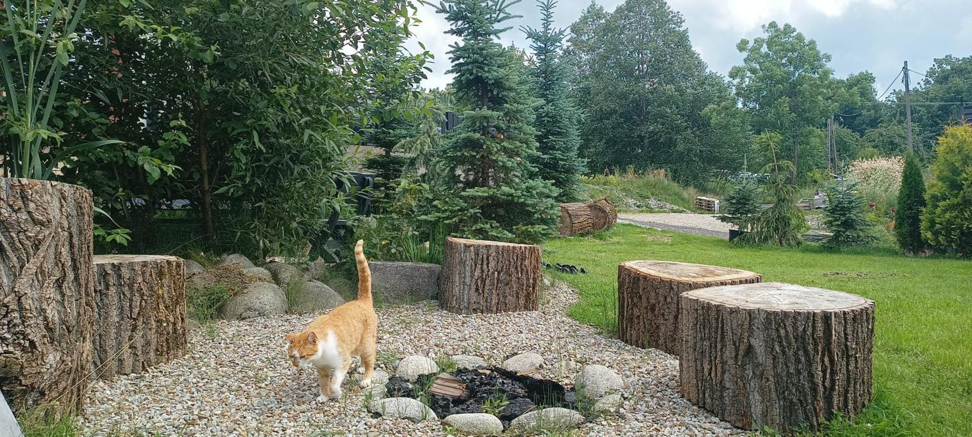 Lux Houses W Domku Tylko Dwa Apartamentyz Jacuzzi Zewnetrznym Groń Eksteriør billede